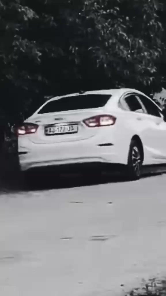 @MƏMMƏDOV💎