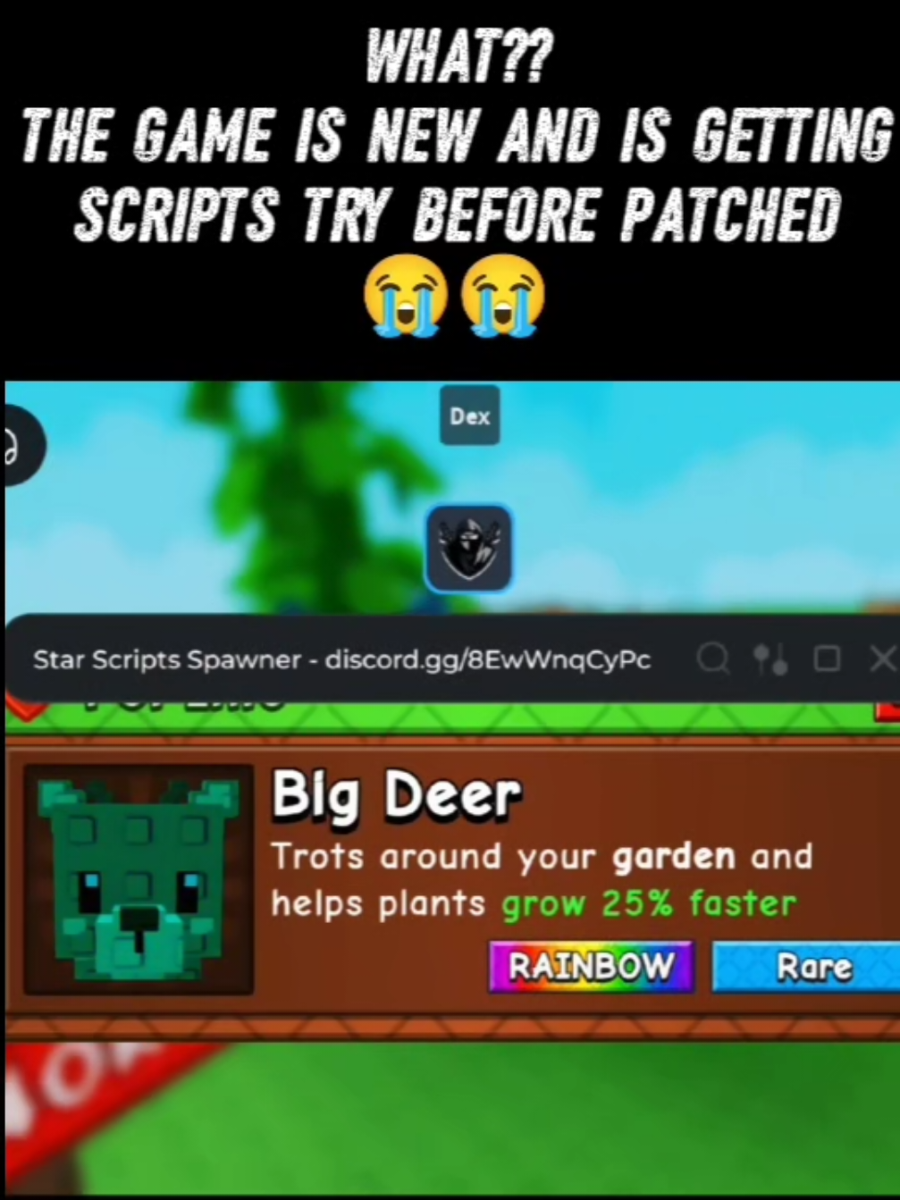 @Itss_Real