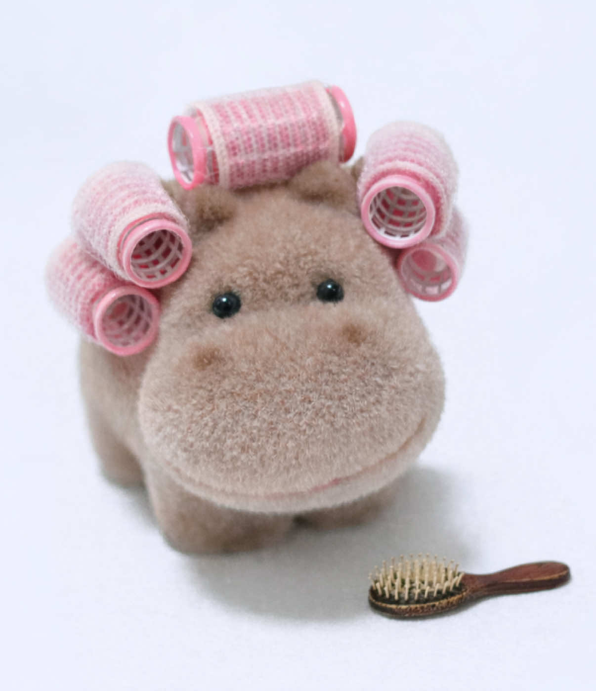 @Baby Hippo