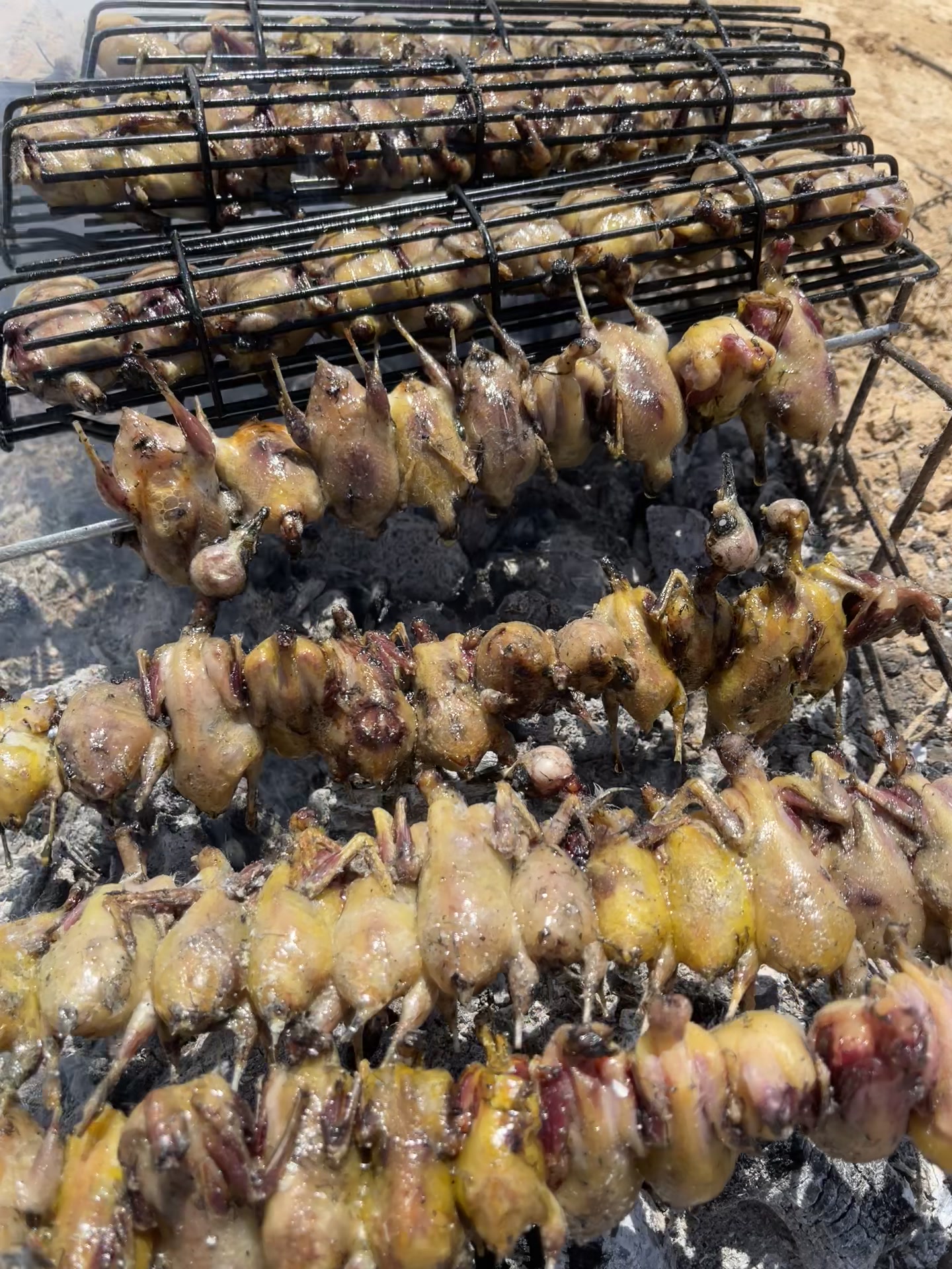 @حكيم عياد المغواري
