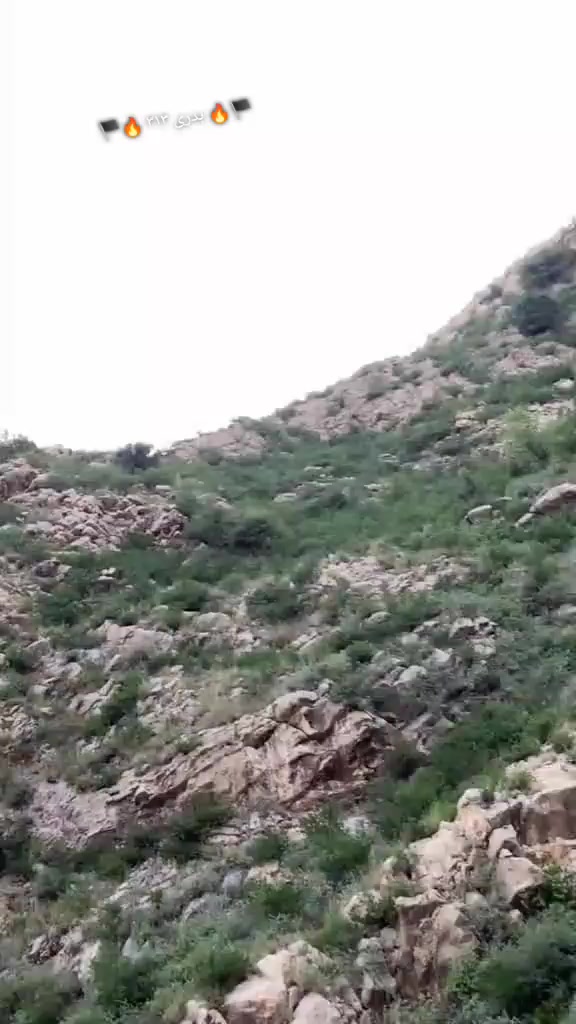 @🏴🔥  بدری ۳۱۳ 🔥🏴