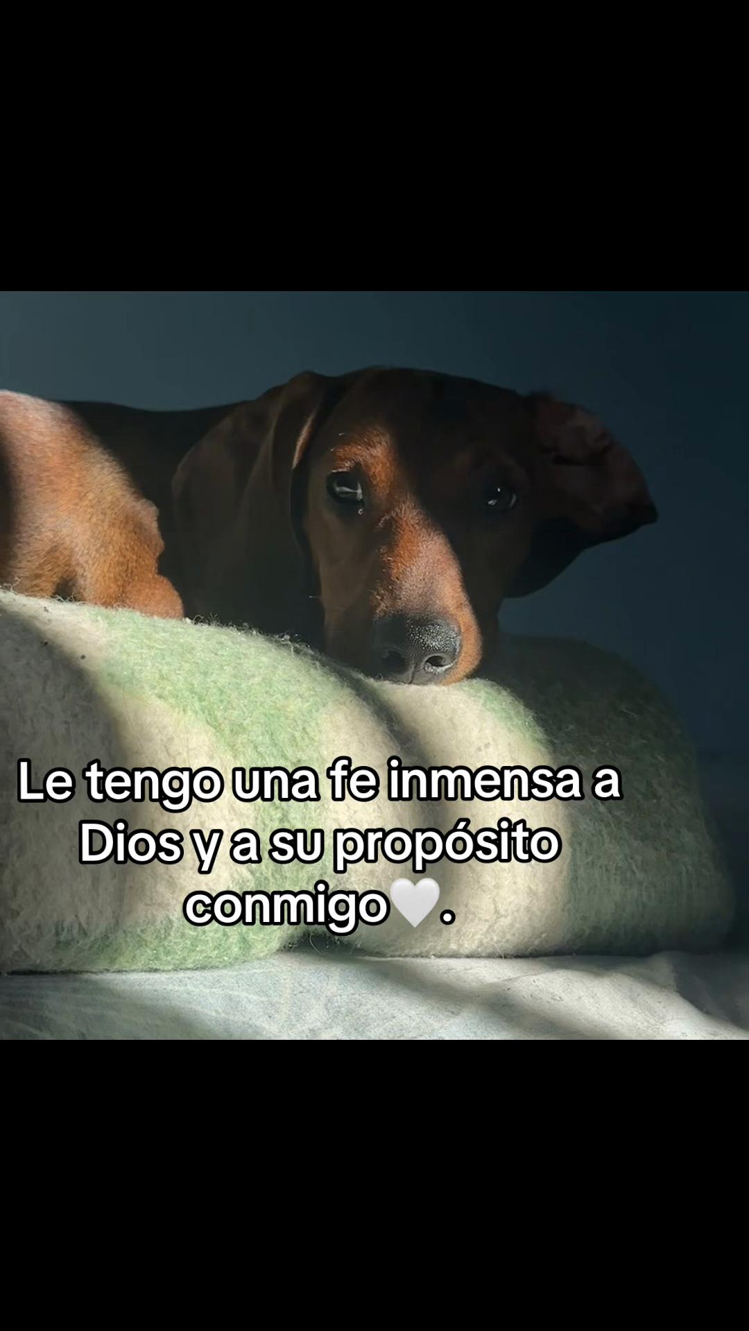 @Guada Paredes
