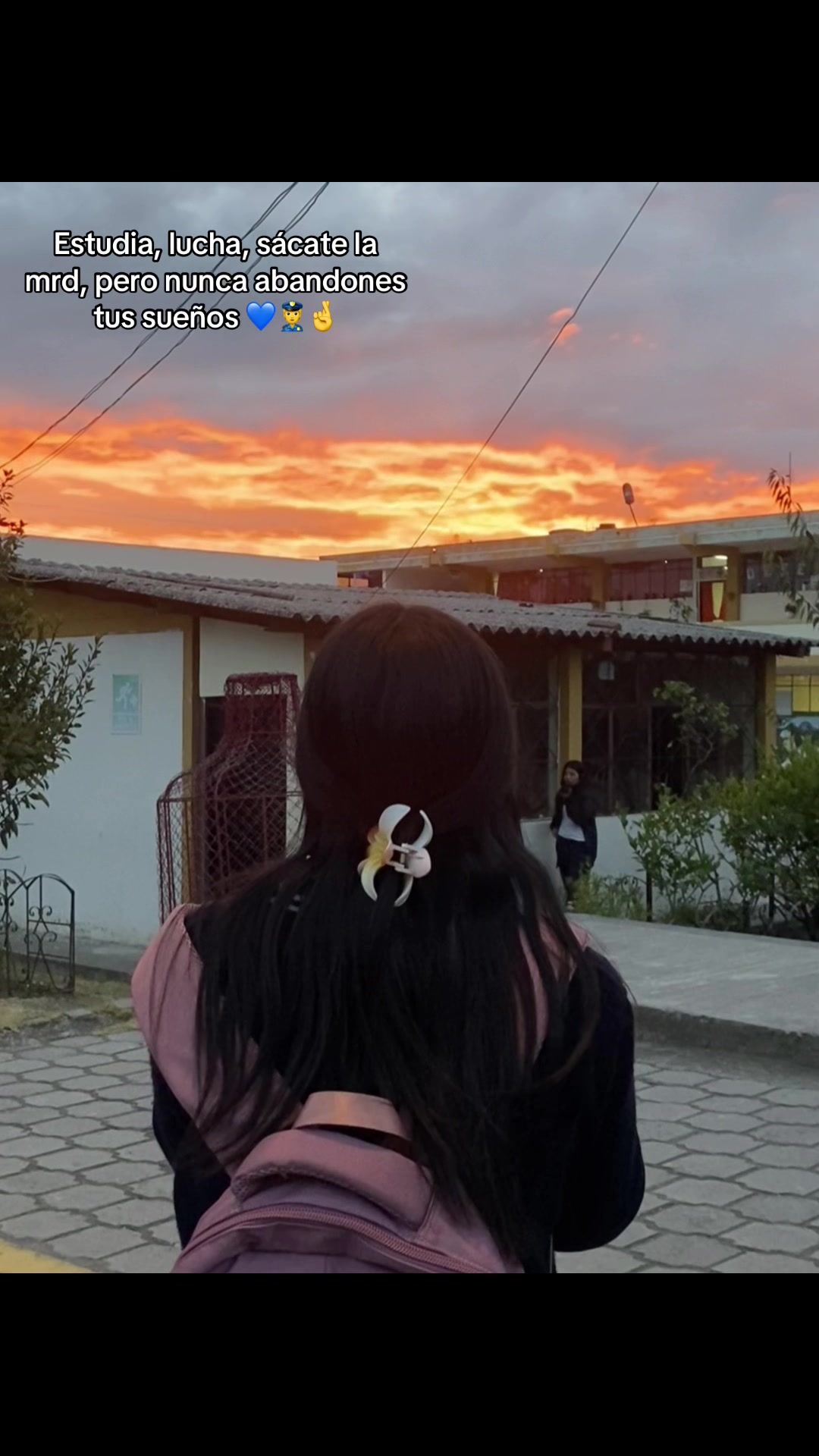 @ff.sandra