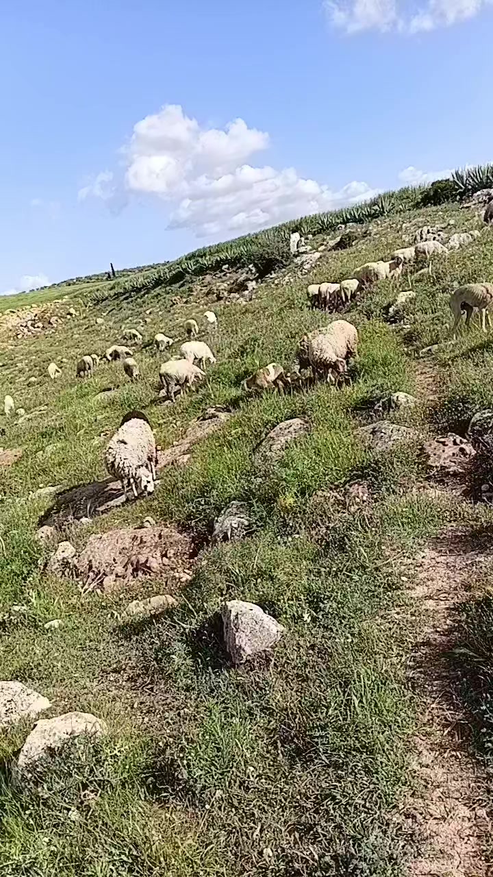 @Ala Riahi