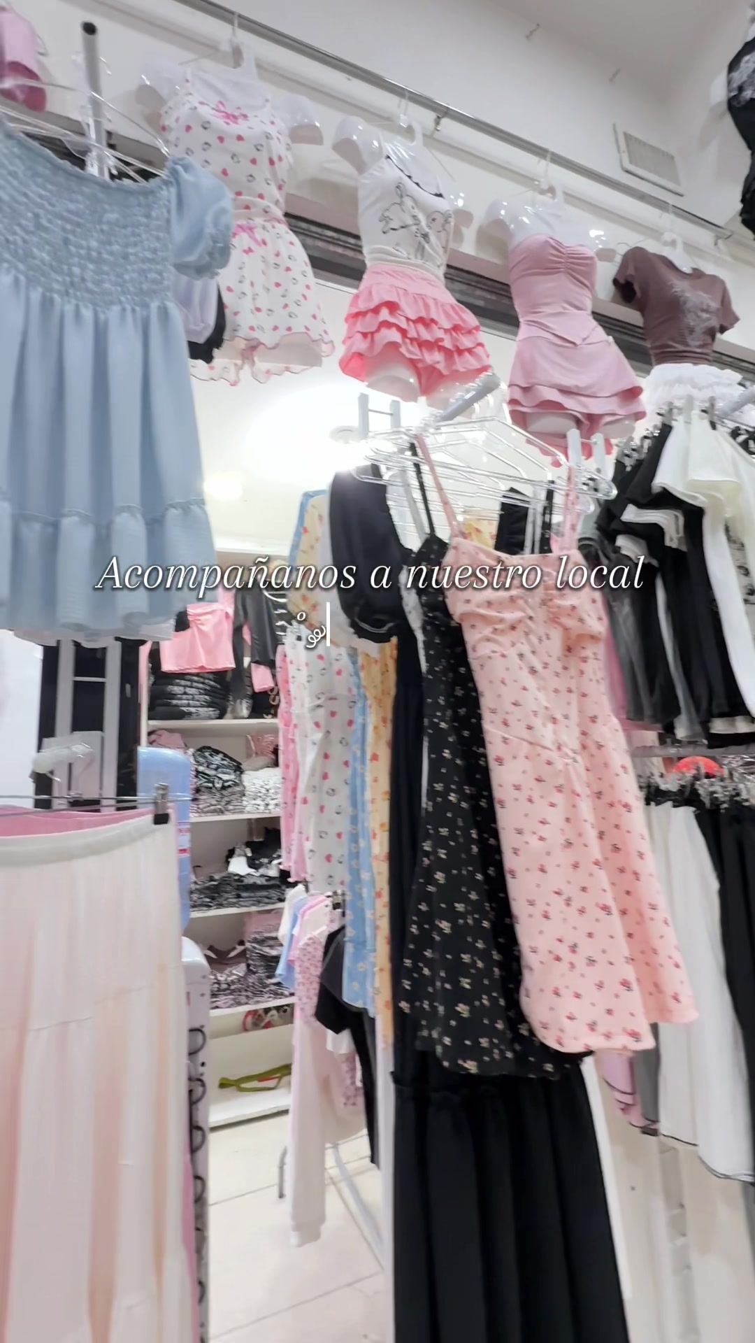 @ibaci store