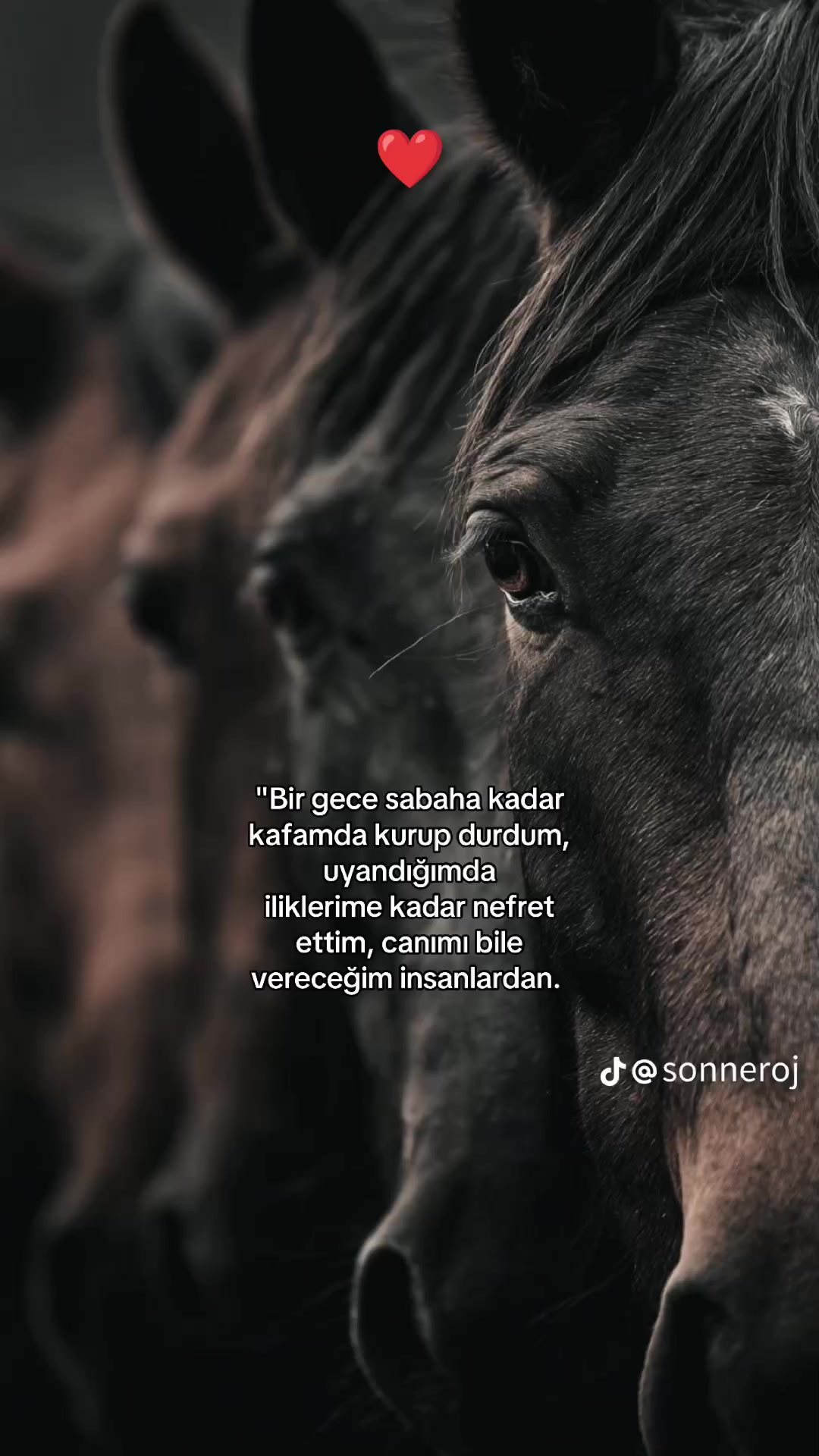 @Eda Tekerek