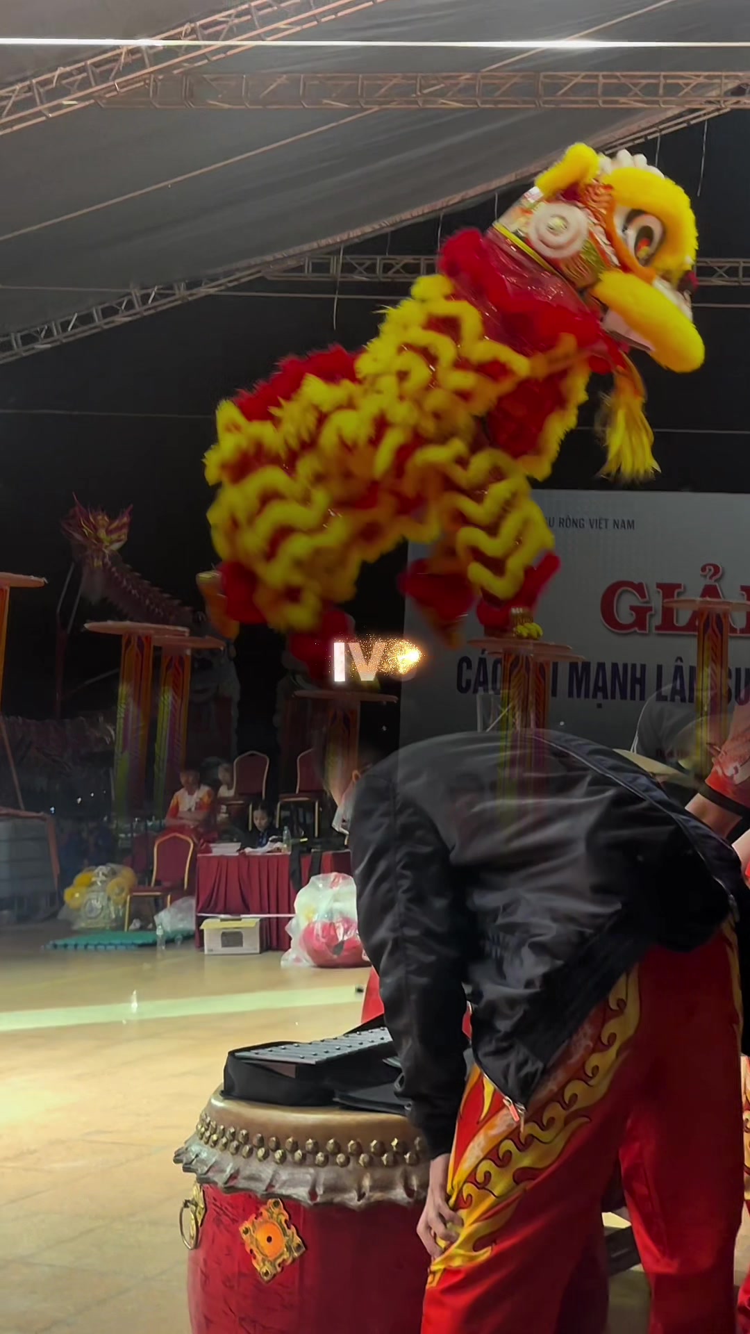 @Triệu Trai Trẻ Lion Fashion