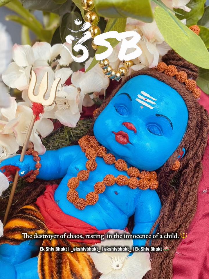 @Ek Shiv Bhakt 🪷