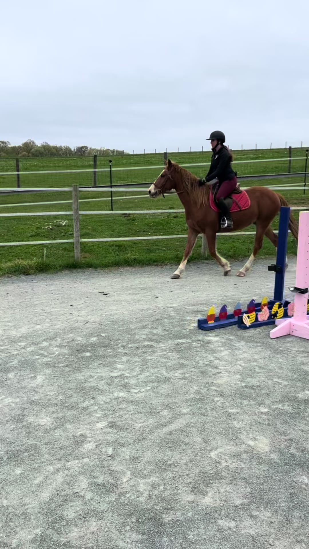 @Aftyn 🐎