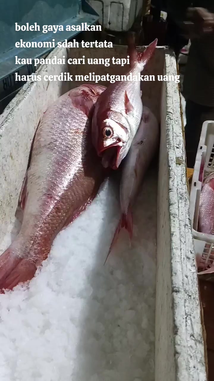 @RPK DANA