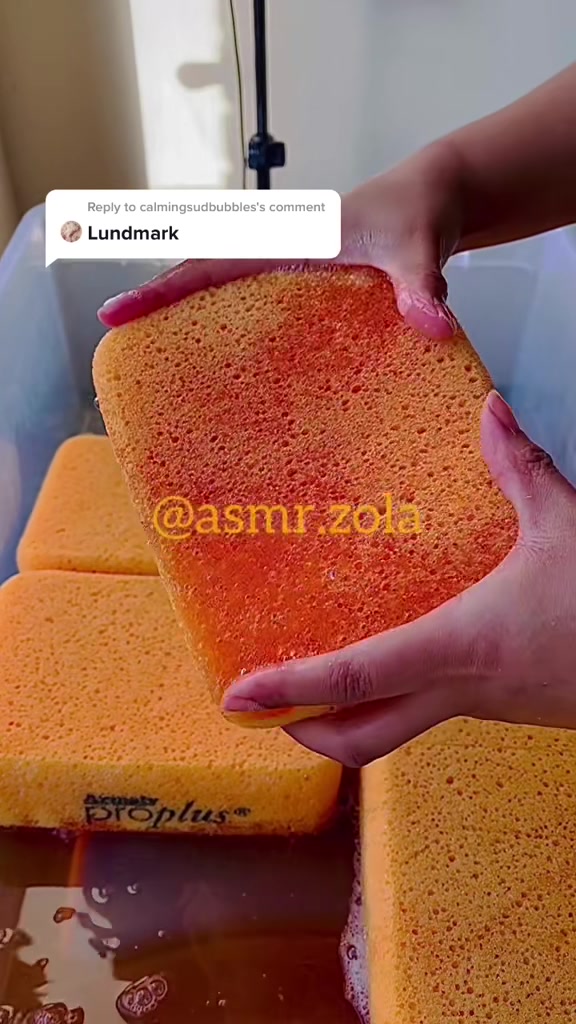 @asmr.zola✨