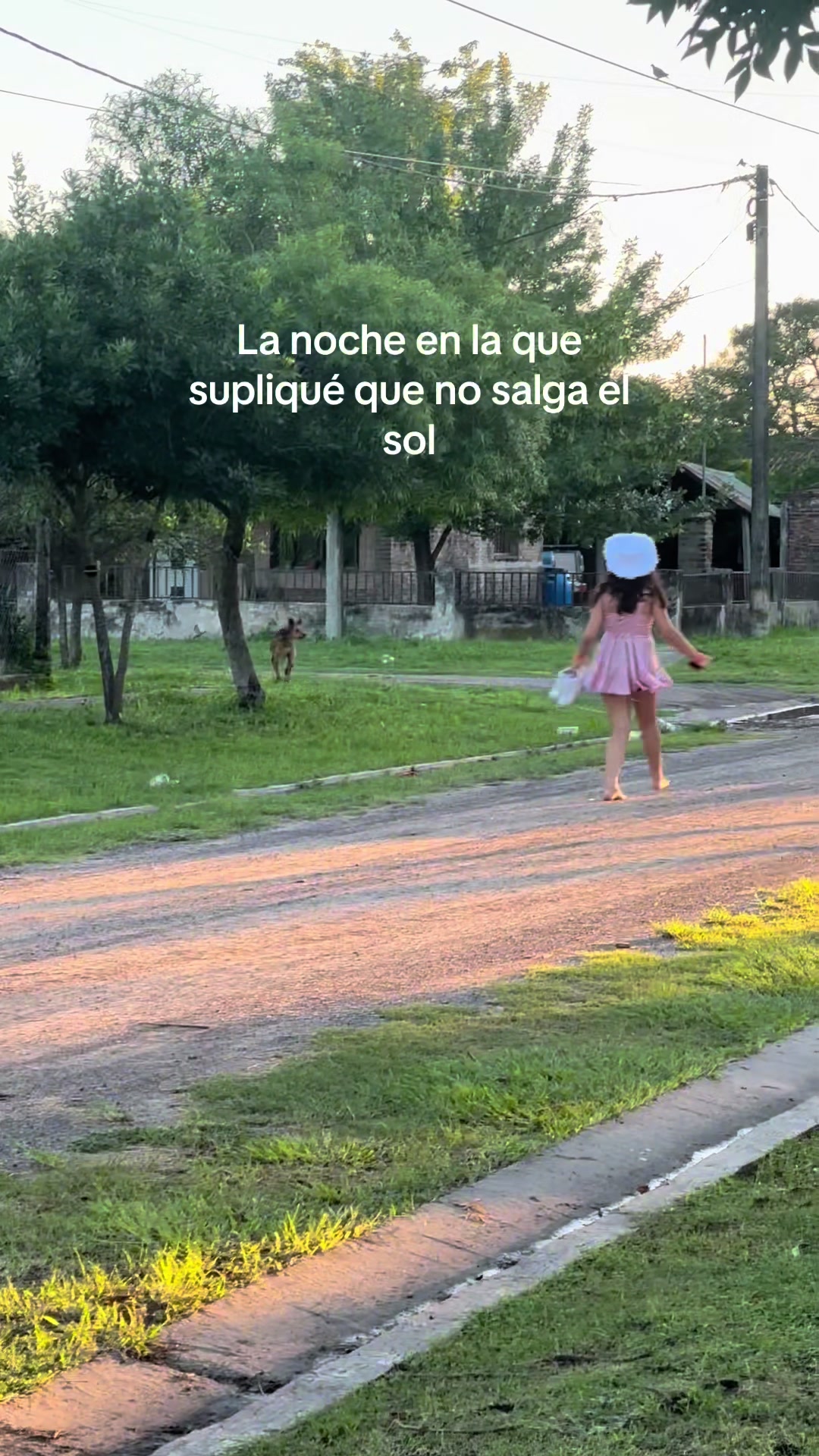 @Mia Di Benedetto