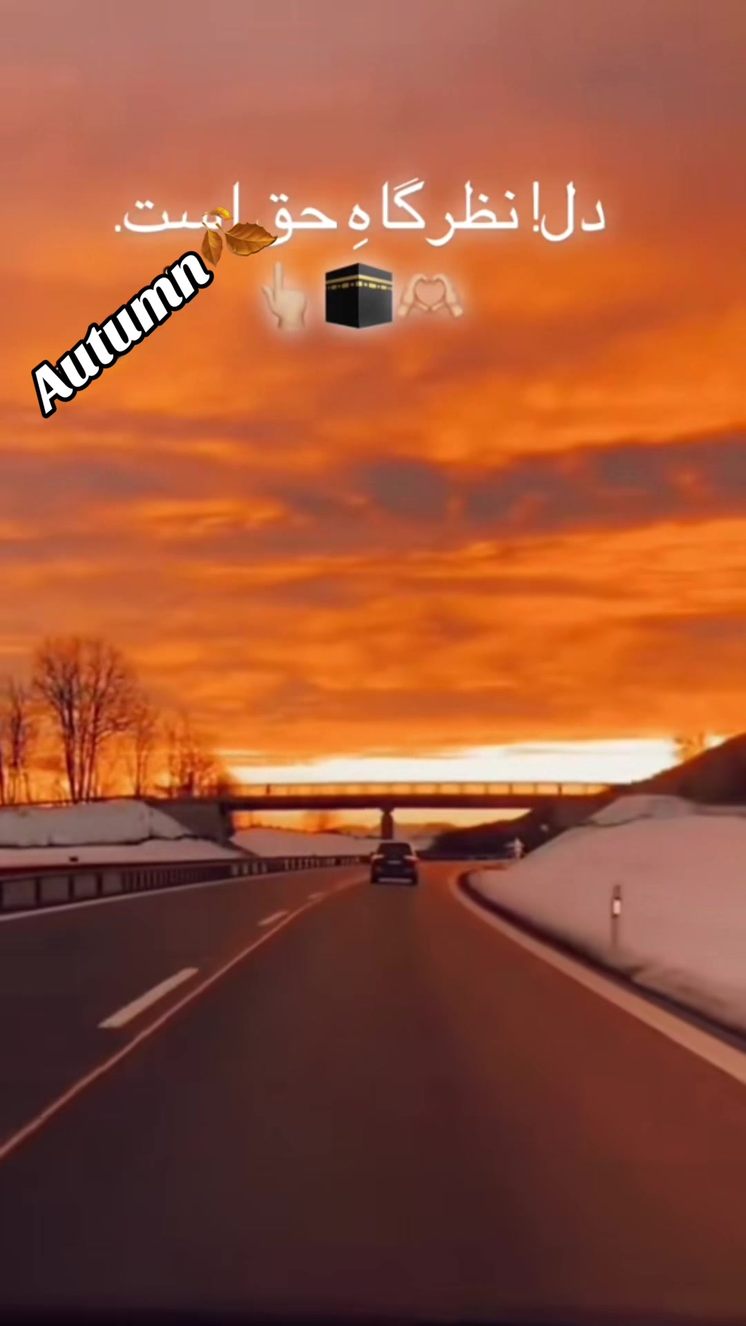 @autumn_1207