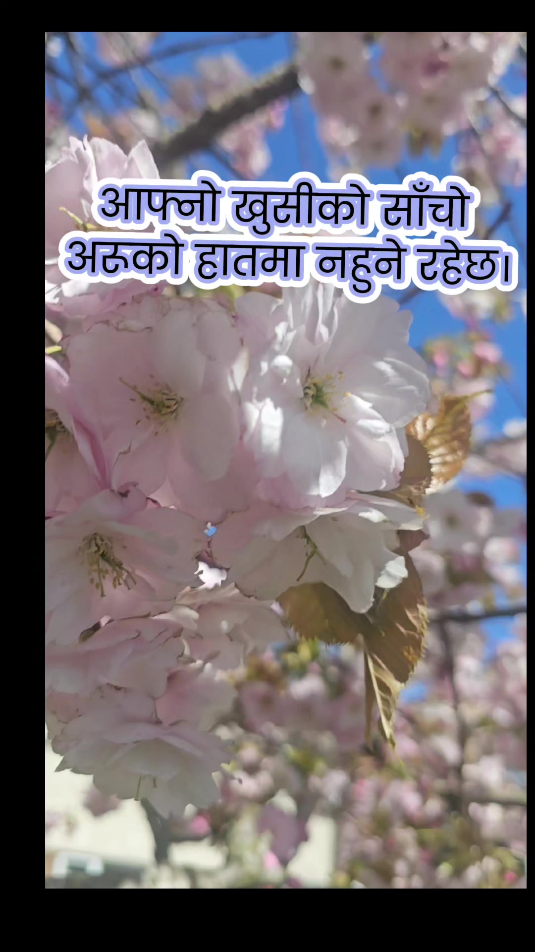 @Shine