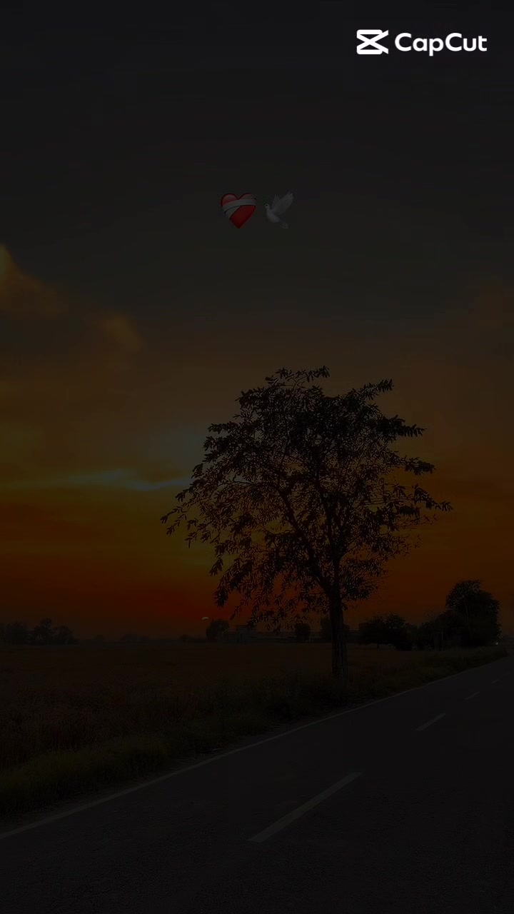 @𝐌𝐨𝐄𝐳 𝐒ᴀ𝐍ᴅ𝐇ᴜ 🏴