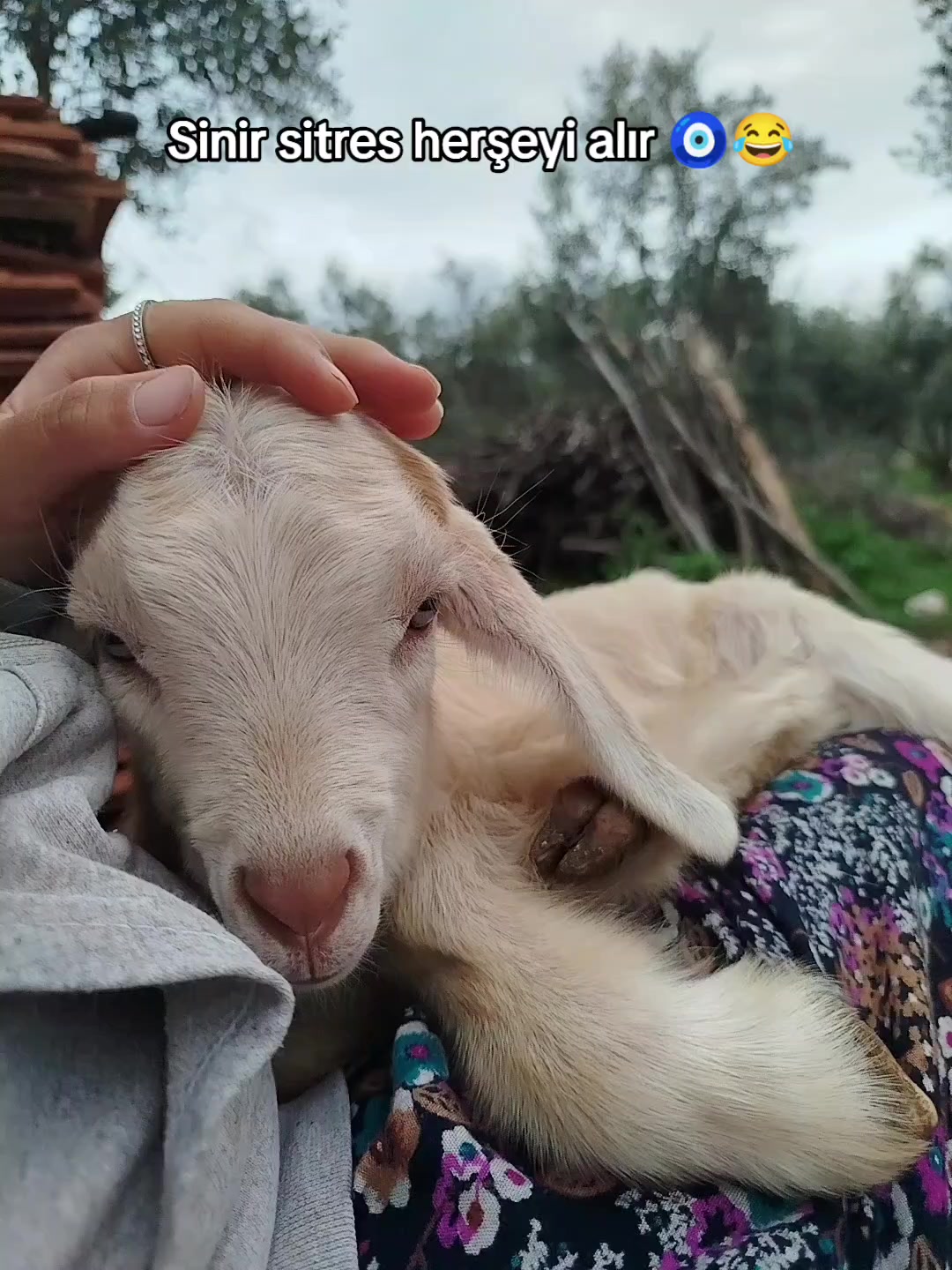 @𝐆ü𝐥𝐬ü𝐦