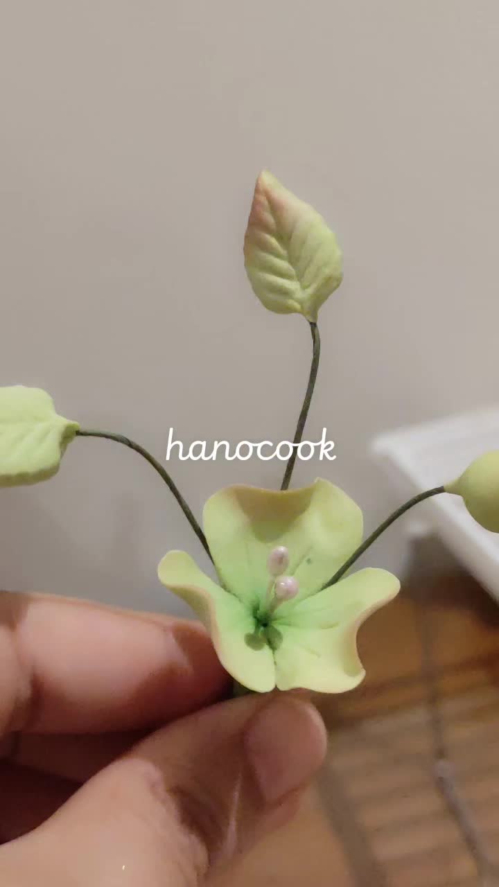 @hanocook