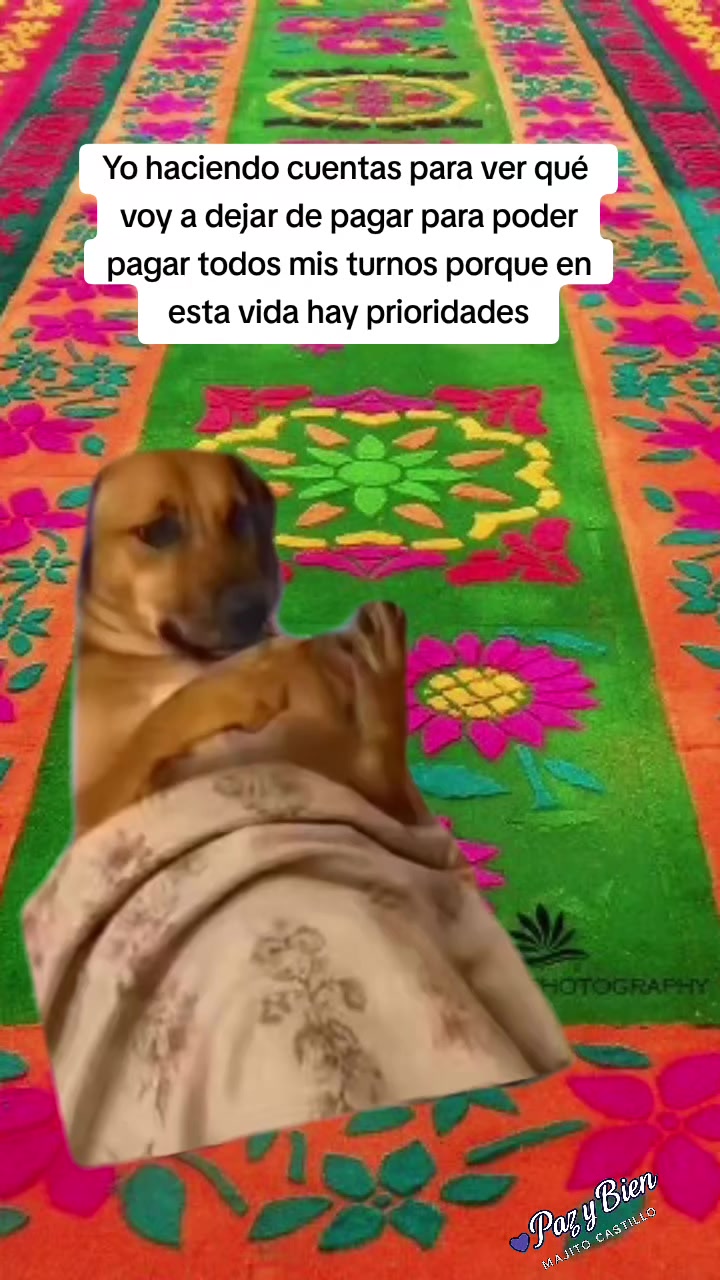@✨Majito Castillo ✨