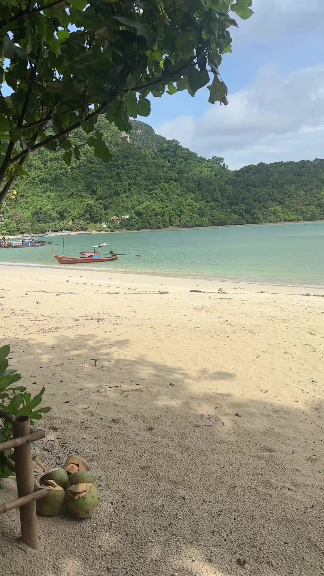 @Bijita