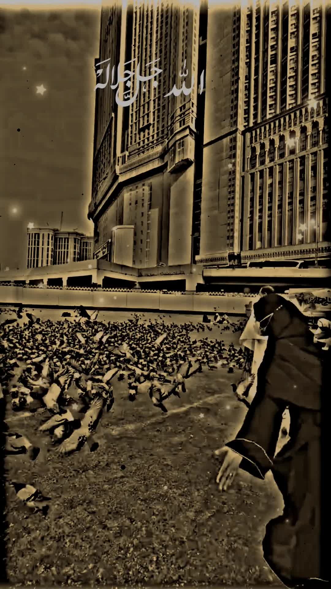@زوبی شاہ 🥀