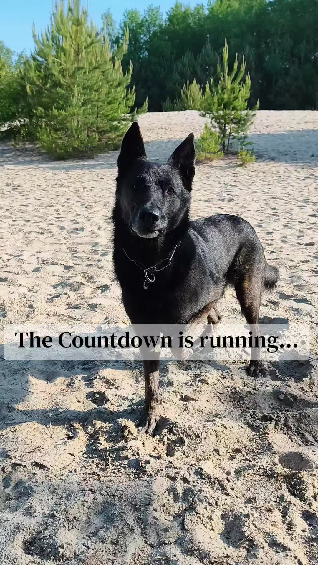 @Anna & Neo 🖤🐾