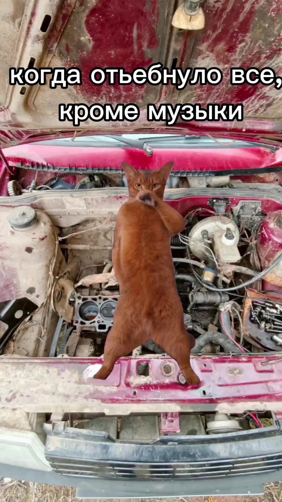 @...