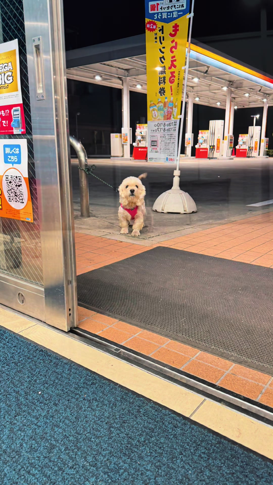 @オクラ