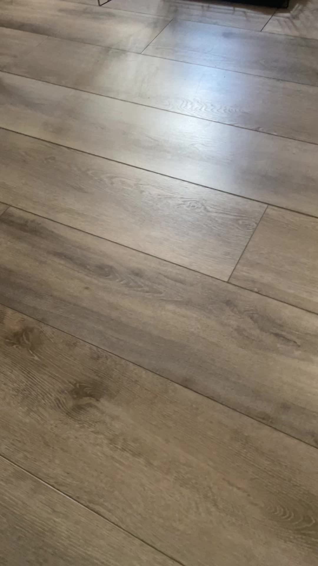 @thegermancat