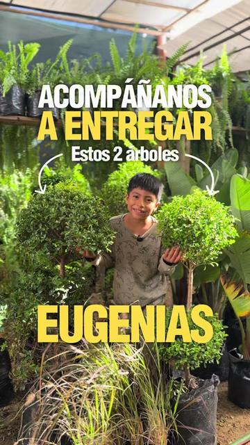 @VIVERO LAS G🦁RDENIAS|TRUJILLO