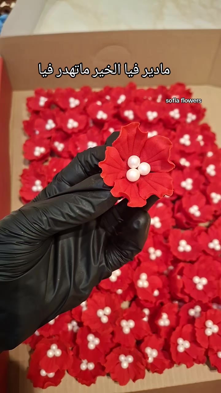 @✨️Sofia flowers✨️