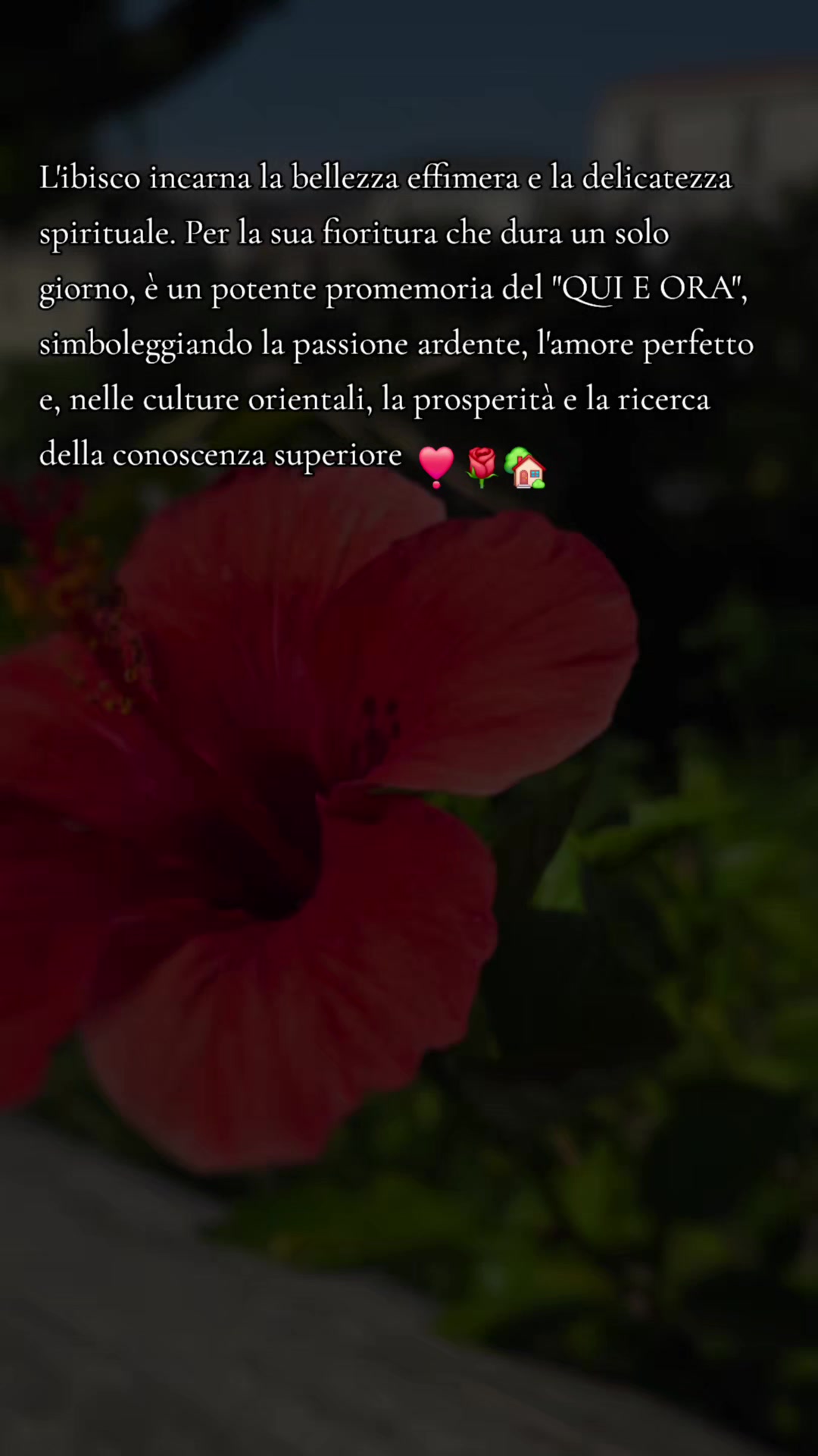 @Napoli❣️forever❣️