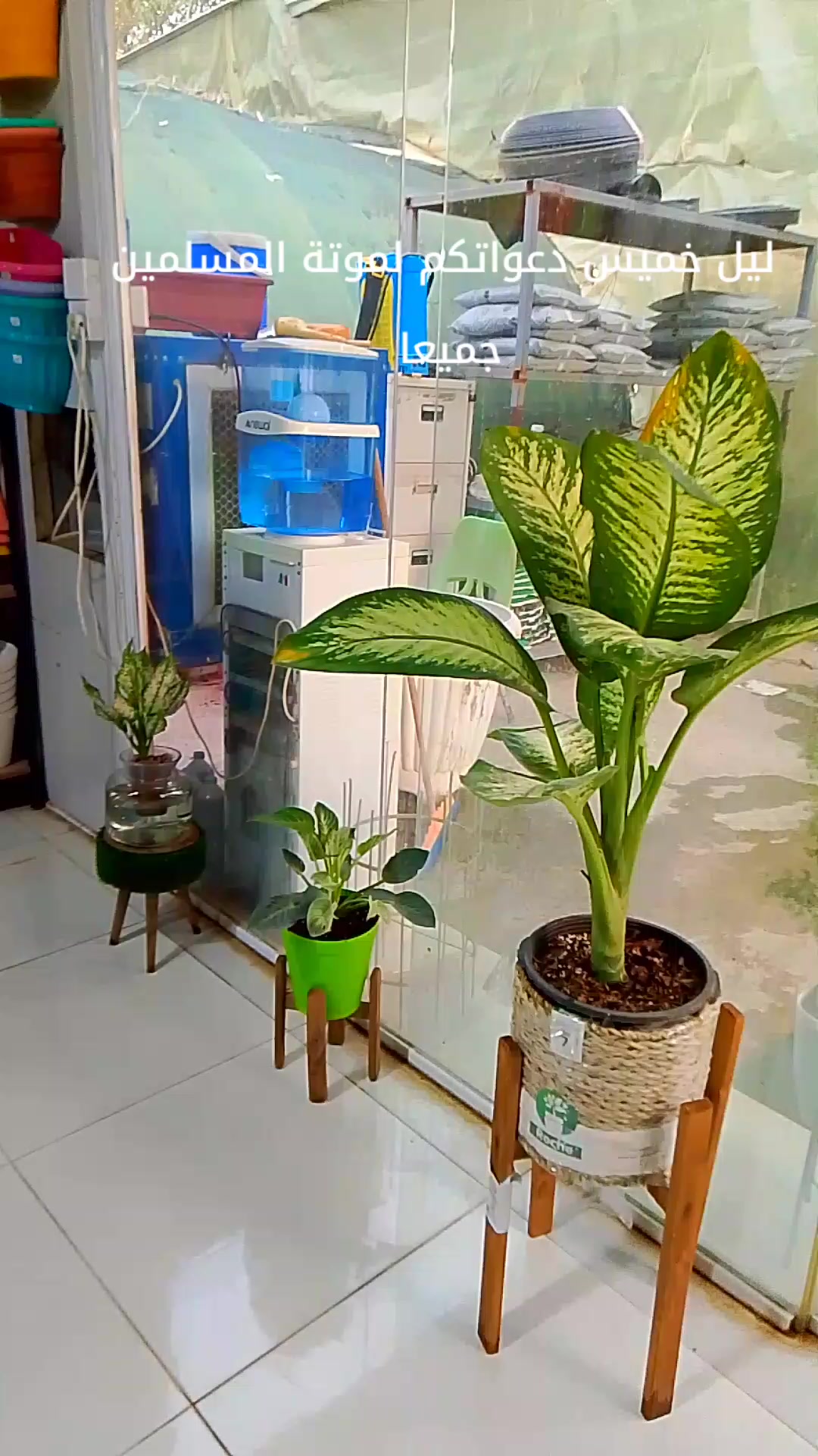 @🍂گوردسـتآنيـﮯ✨ عمـر 🌺