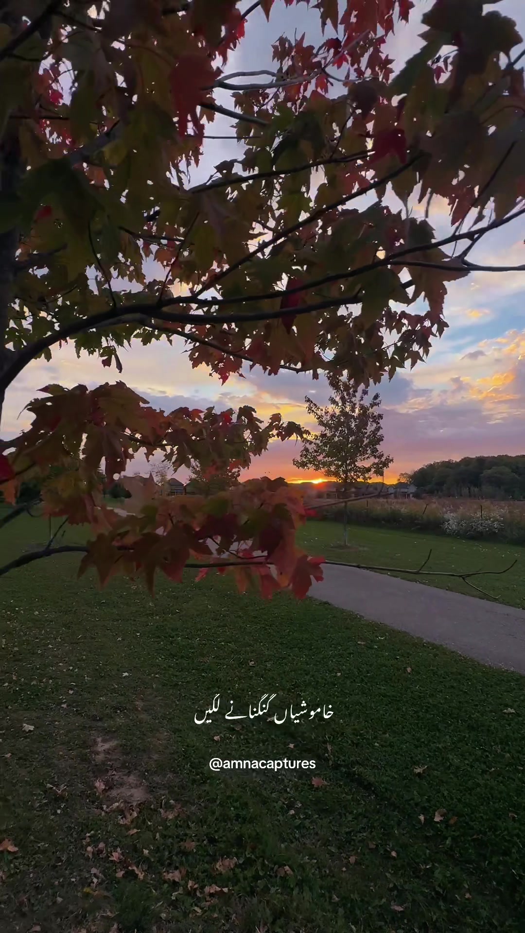 @Nature lover 🇨🇦