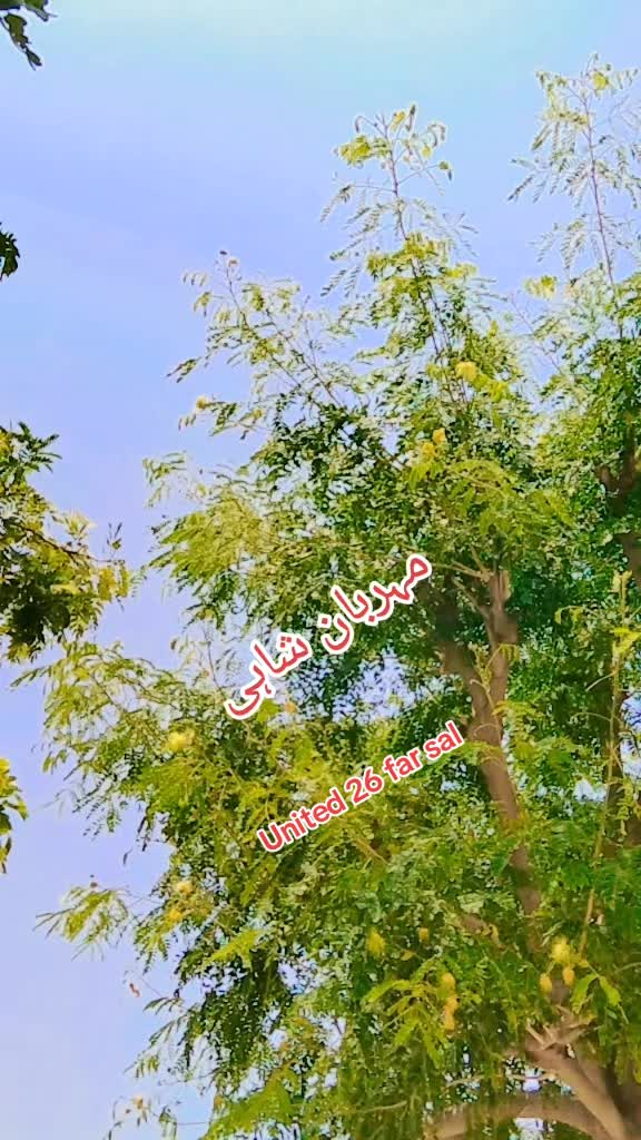 @M𝑒𝗁𝘢𝗥𝐛𝚊𝐍 𝙎h𝒶𝐇𝚒❤️🩹