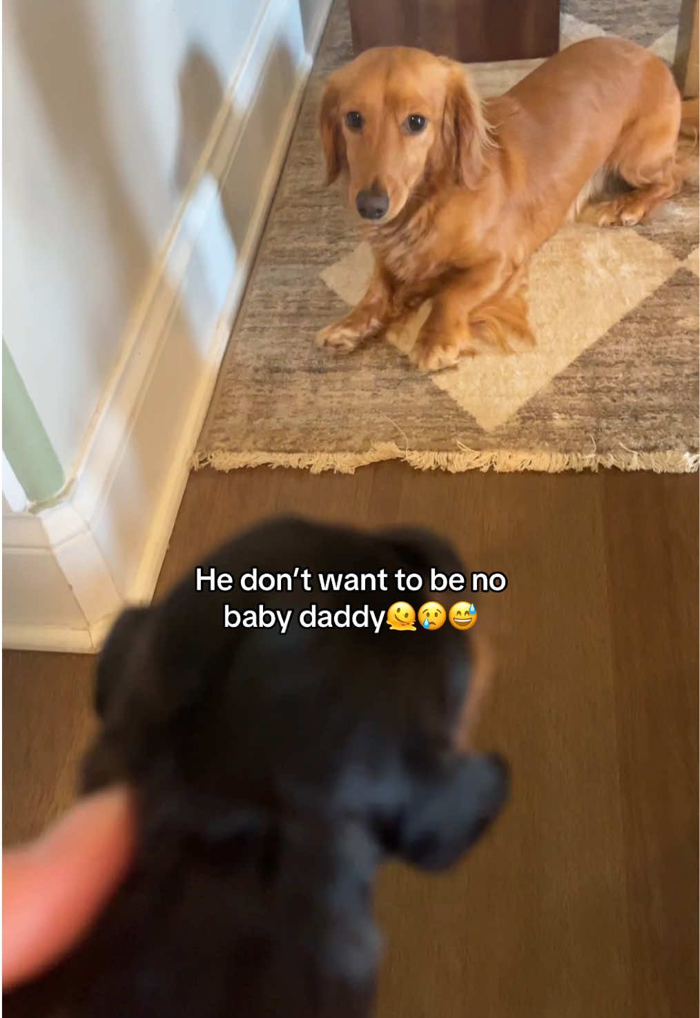 @thesteelmanhome