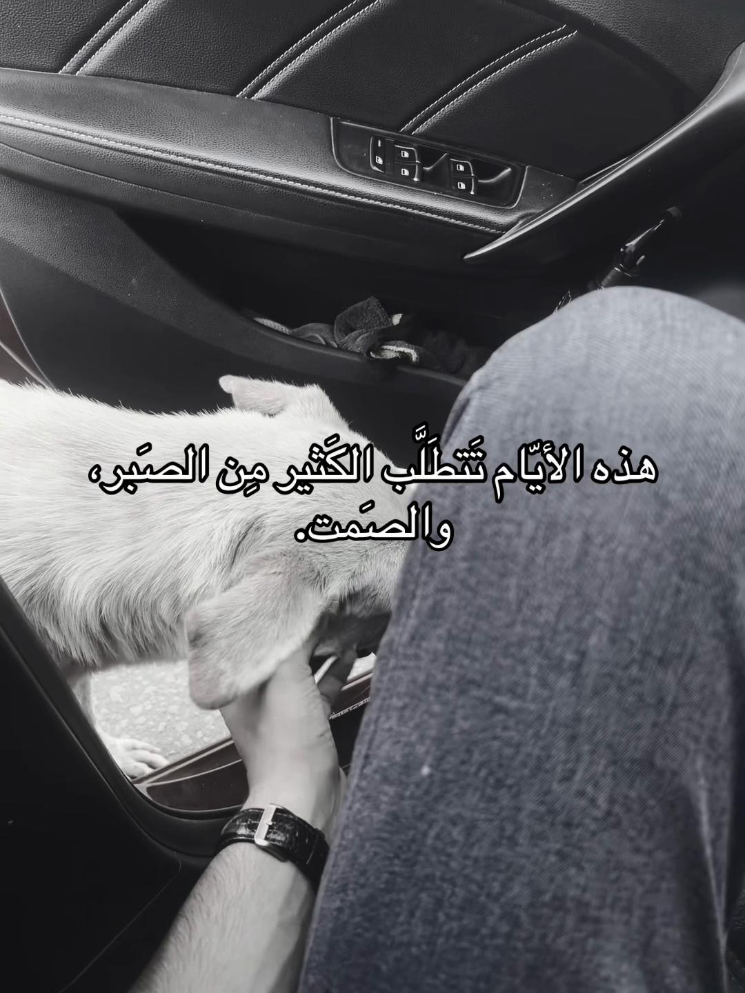 @ᴹᵒˢᵗᵃᶠᵃ ᴴᵃˢˢᵒⁿᵃᵃ