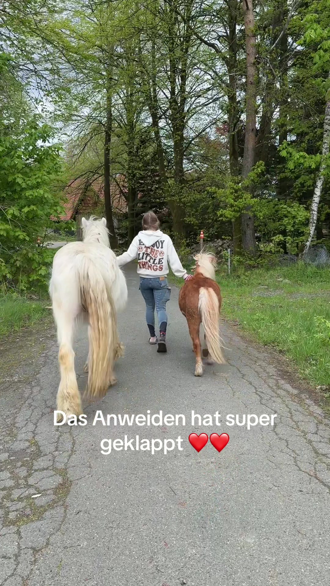 @HafiHorse2