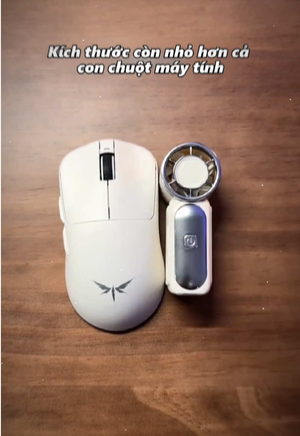 @我的老公们