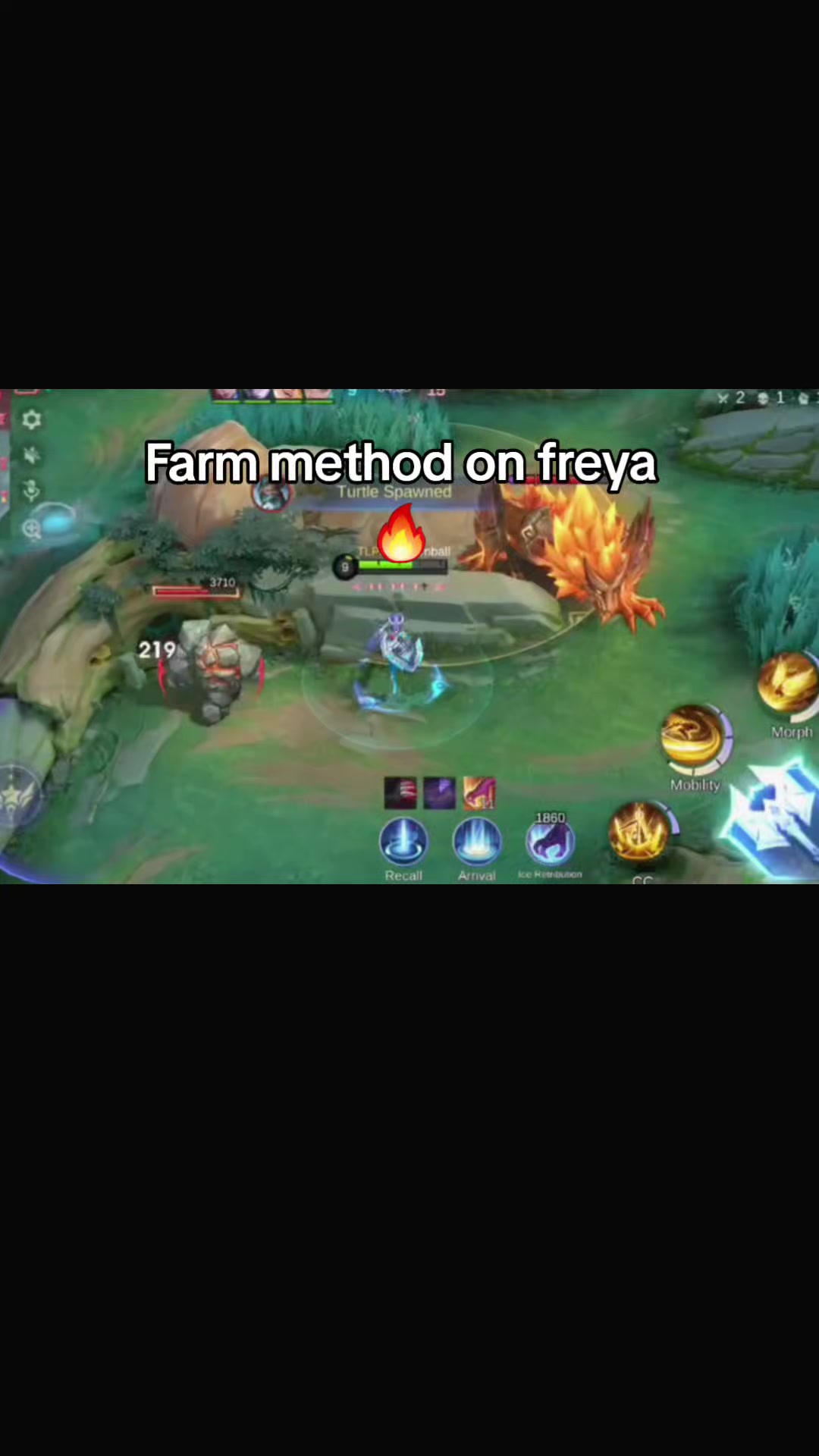 @cornball
