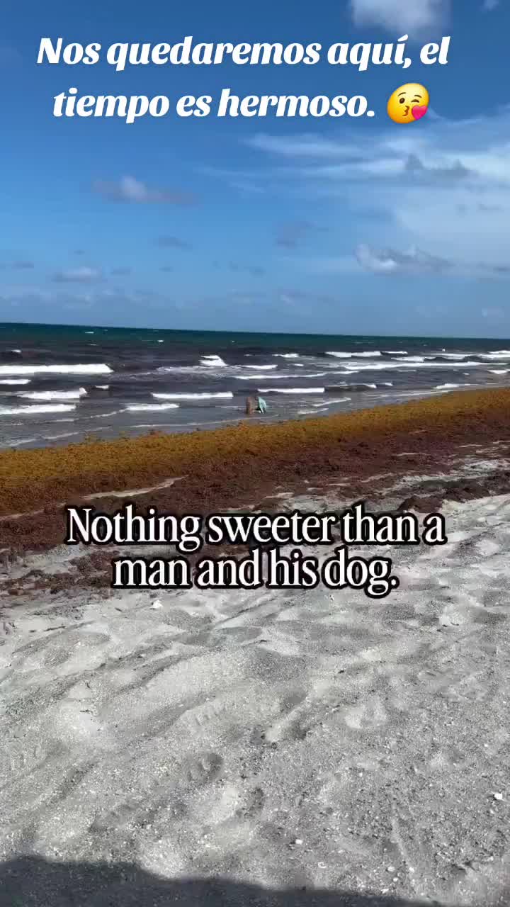 @Roxana Nunez