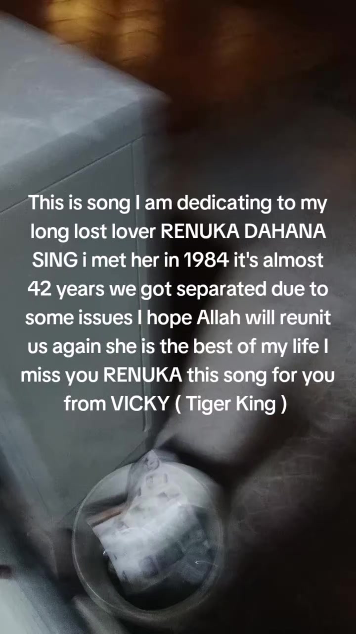 @Tiger king of the jungle