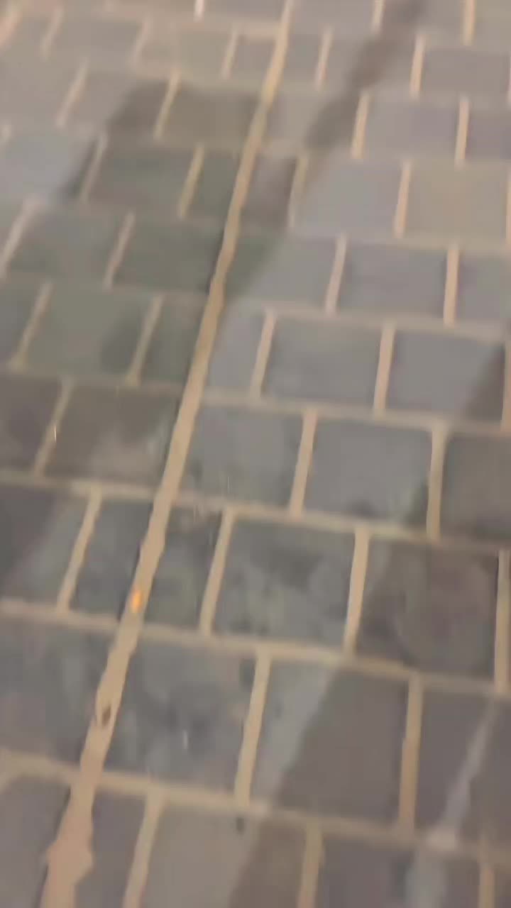 @𝗩𝗮𝗿𝘆𝘀.𝗬𝗡𝗗𝗫