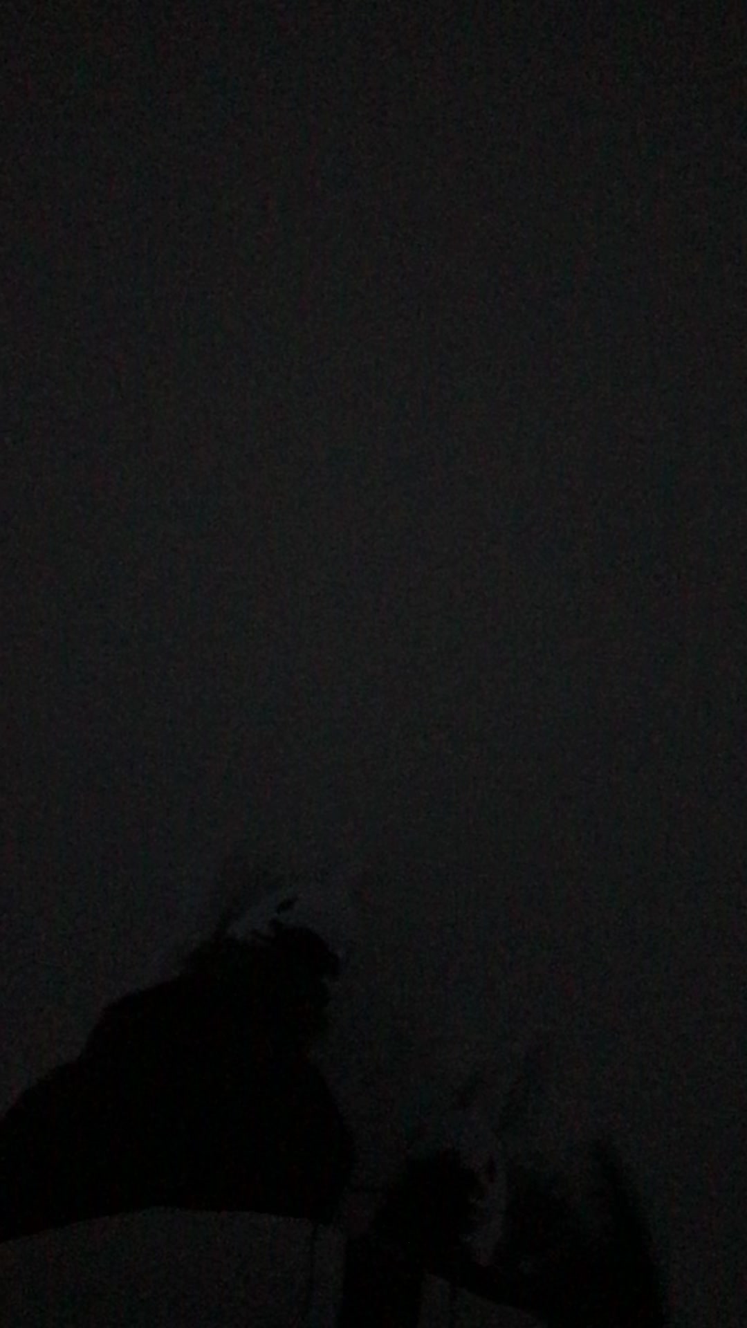 @morfiik