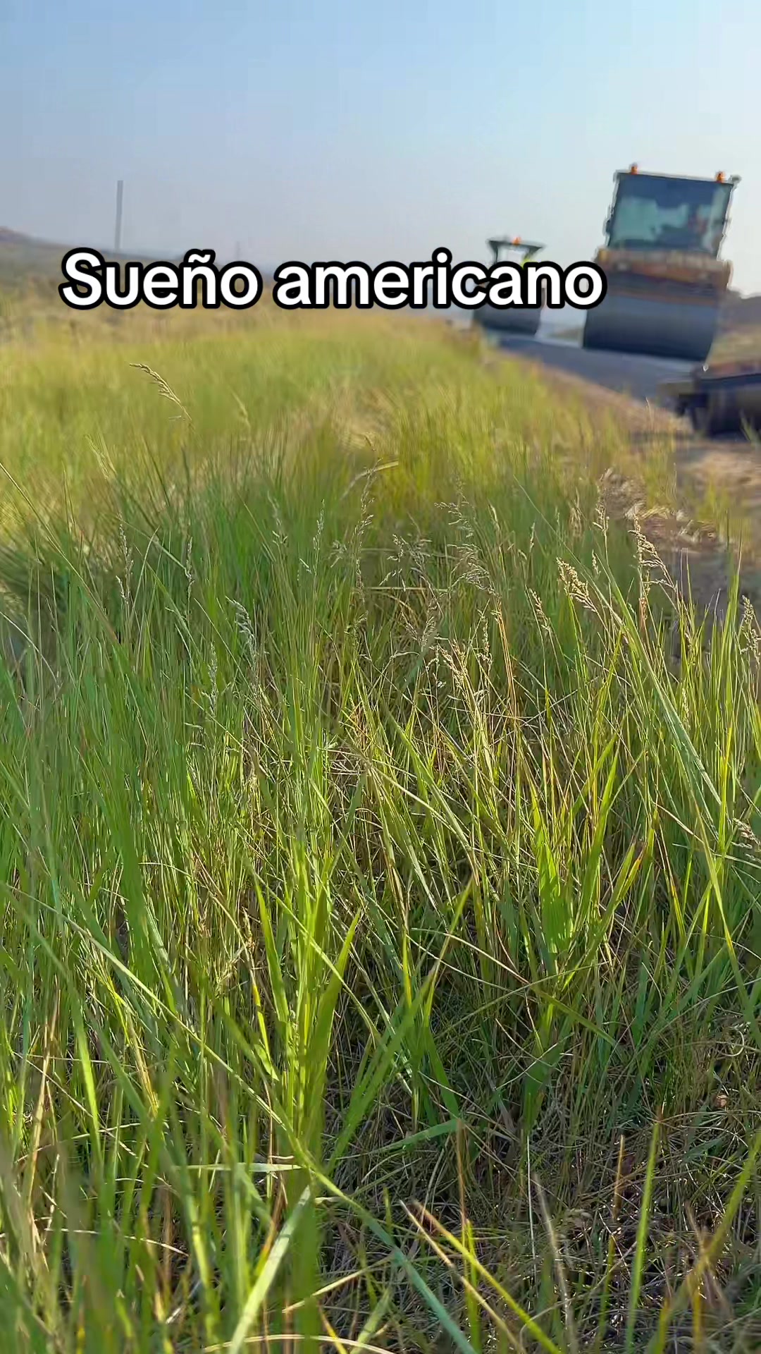 @CALIBOI559