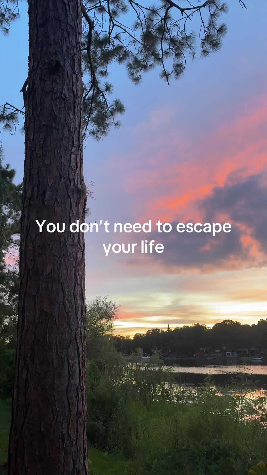 @Tyler | The CREATOR