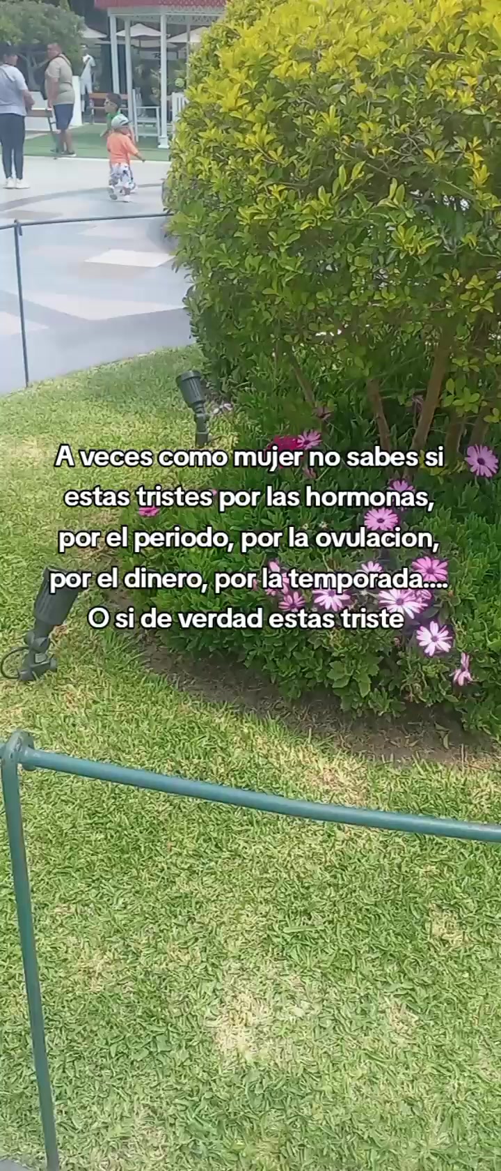 @Julays | Generando emociones