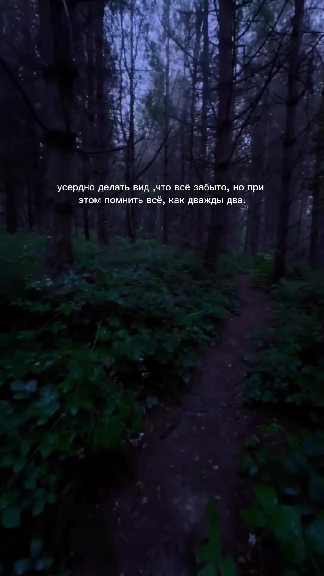 @sad_you_songs1