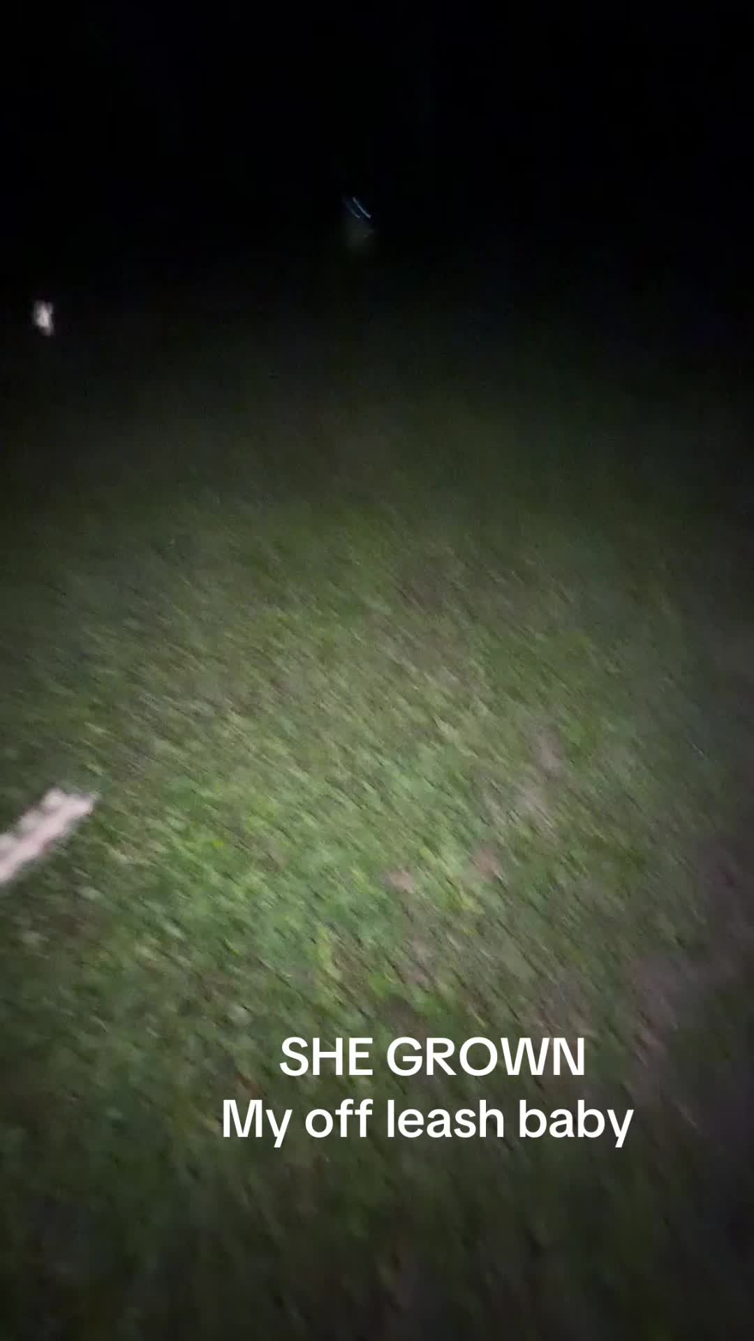 @Jaseña