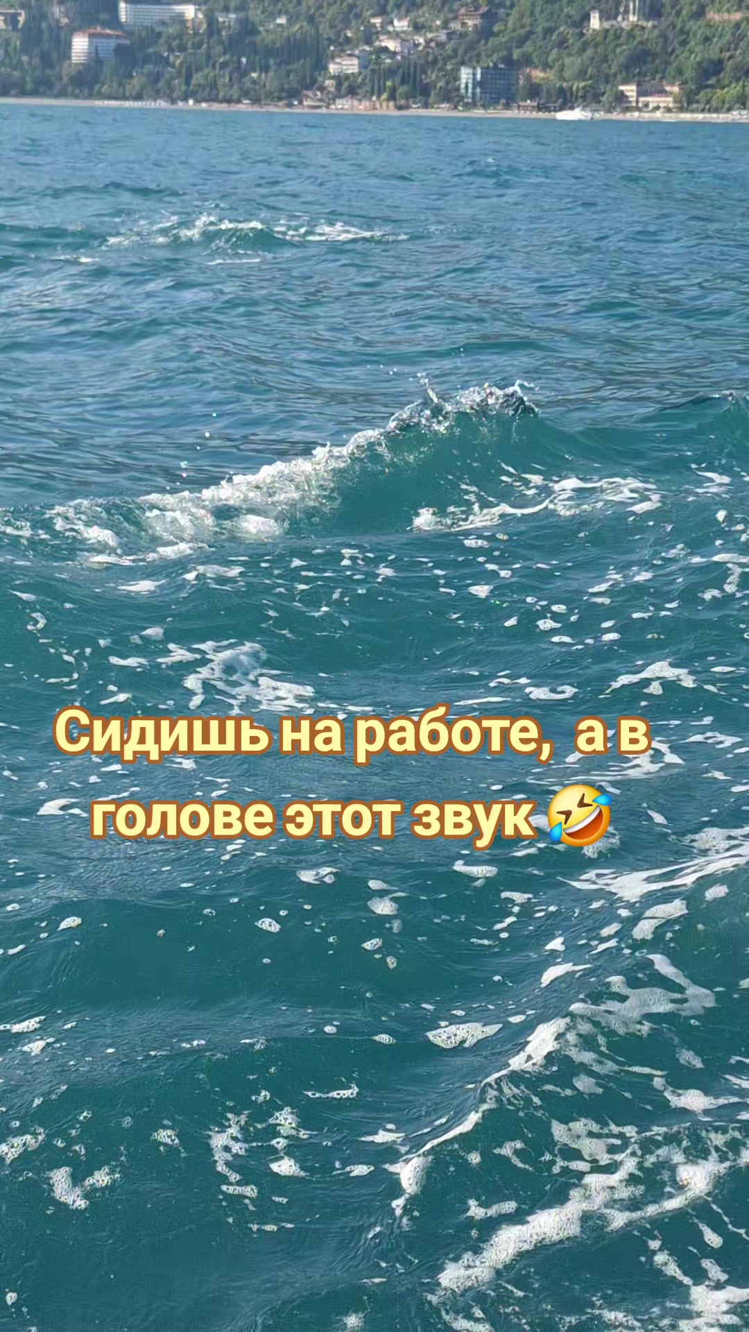 @_Inna_Vl_208