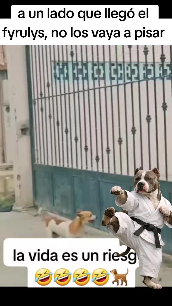 @rikum🇲🇽